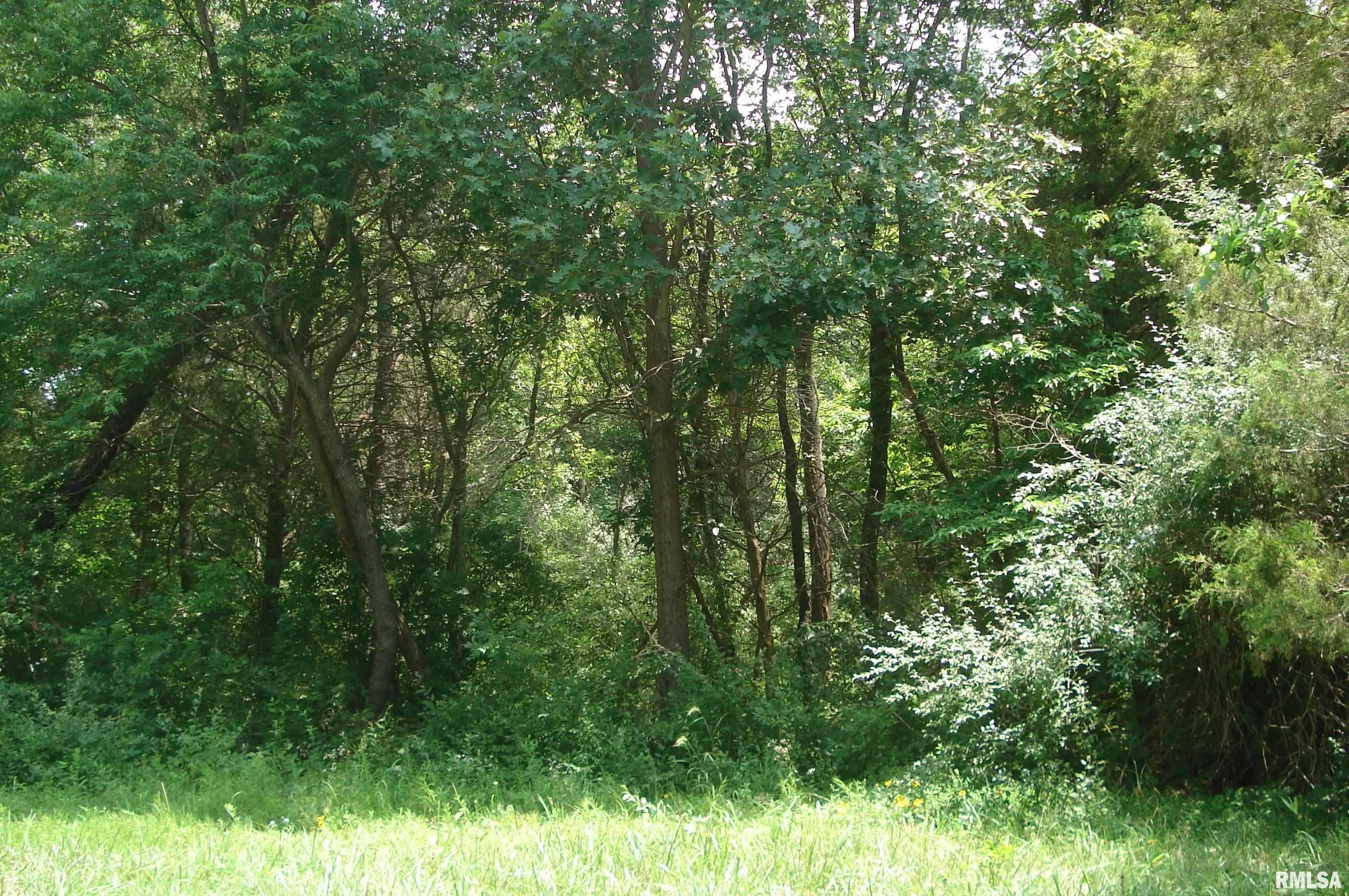 0 Corinth Road Pittsburg, IL 62974 - Photo 9 of 18