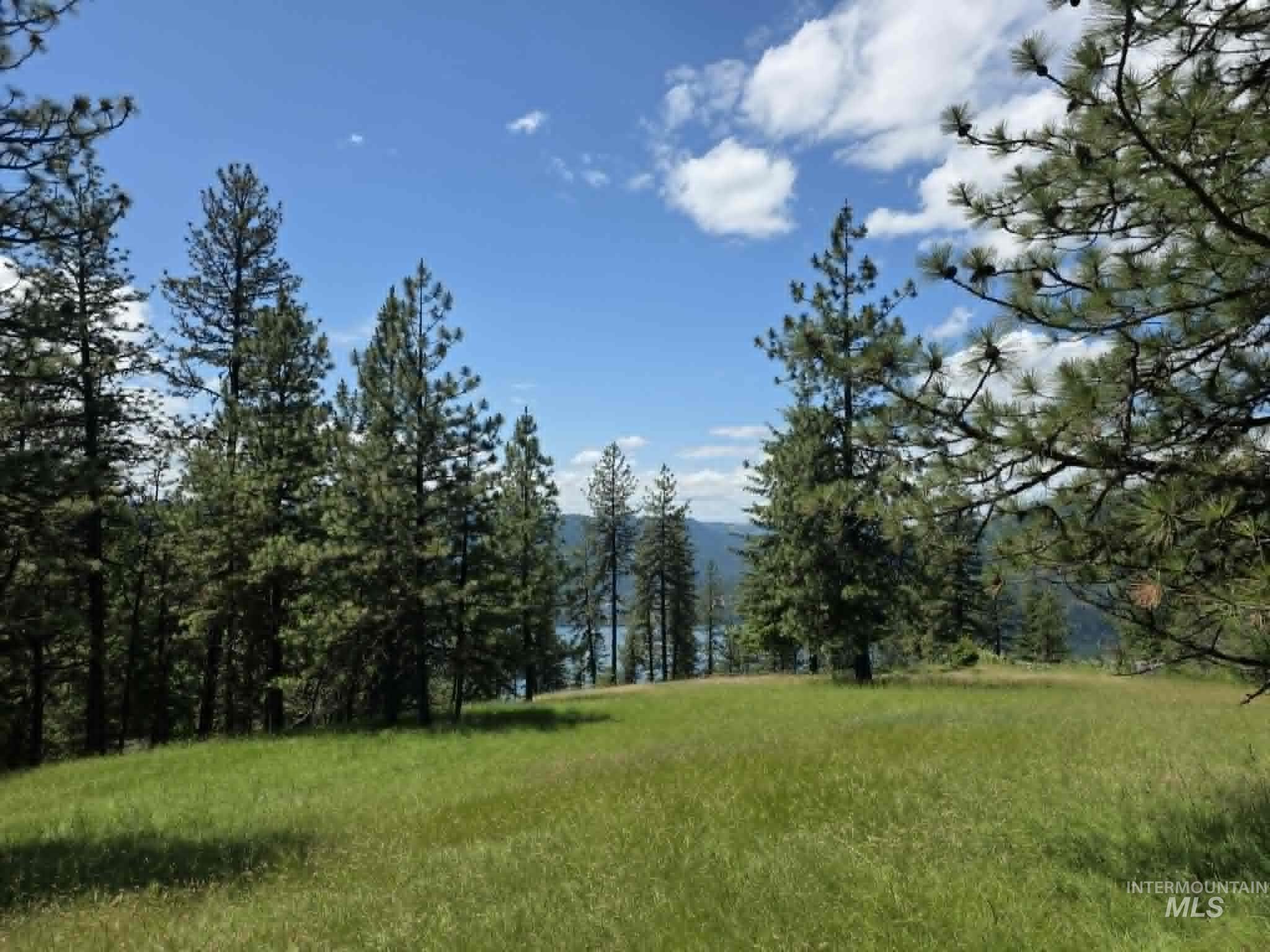 3871 Lakeview Road Orofino, ID 83544 - Photo 36 of 49