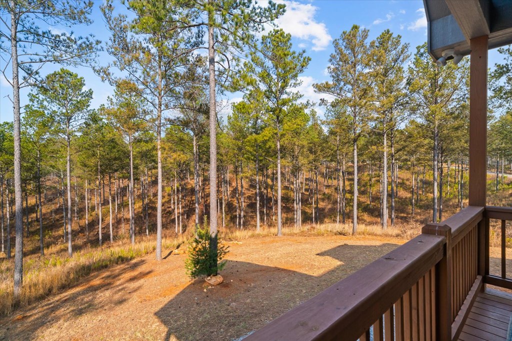 1068 High River Road Ellijay, GA 30540 - Photo 49 of 59