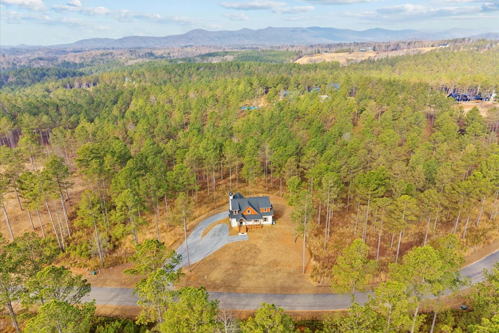 1068 High River Road Ellijay, GA 30540 - Photo 56 of 59
