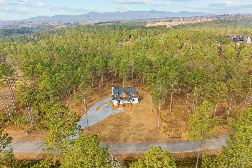 1068 High River Road Ellijay, GA 30540 - Photo 57 of 59 a view of a lake view
