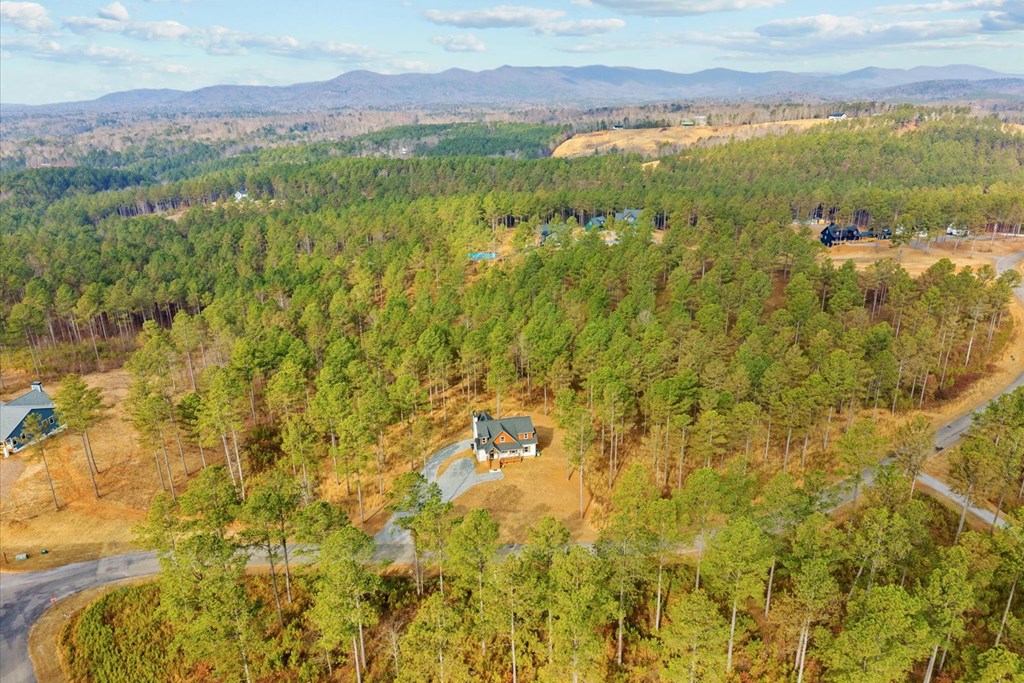 1068 High River Road Ellijay, GA 30540 - Photo 59 of 59 a view of an aerial view of residential houses with outdoor space and trees
