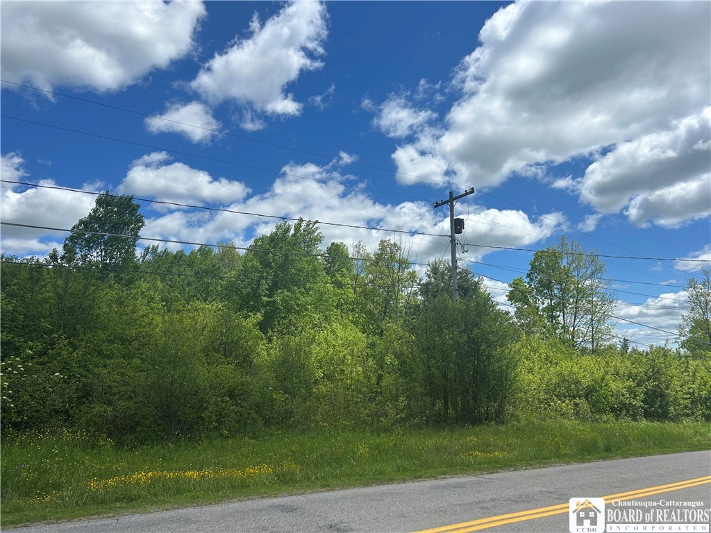 Belleview Road East Bemus Point, NY 14712 - Photo 2 of 6
