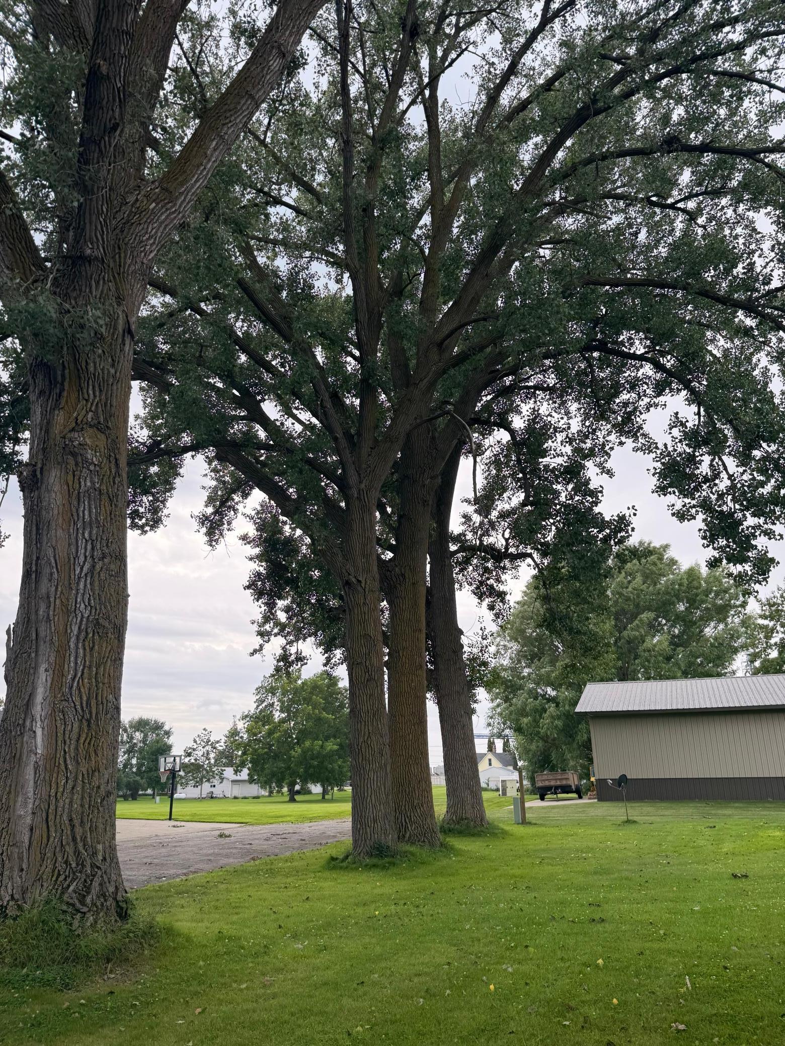 303 4th Street South Hoffman, MN 56339 - Photo 32 of 33