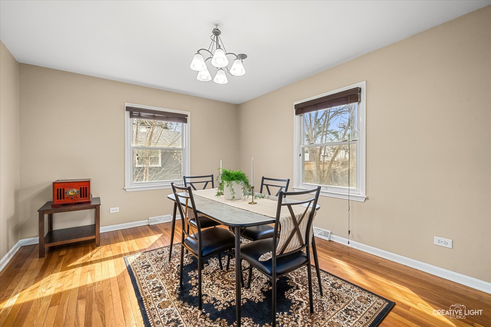 540 North Rosedale Avenue Aurora, IL 60506 - Photo 6 of 18