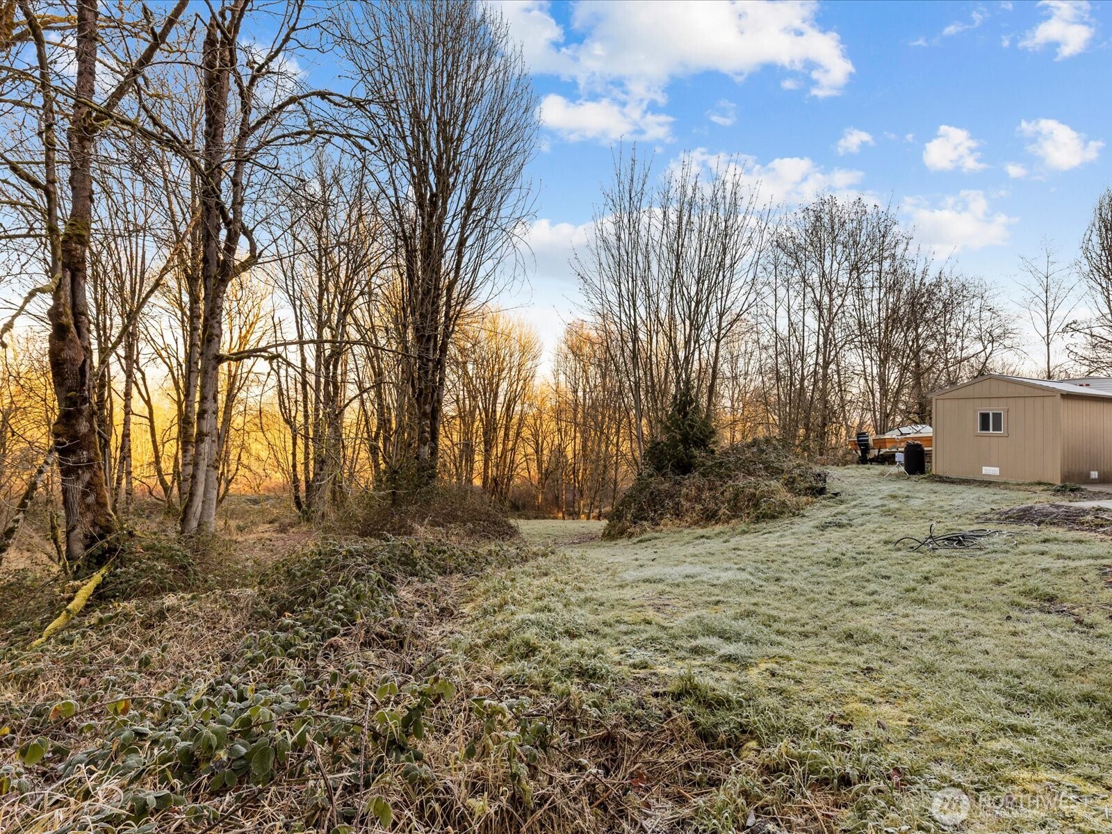 218-38 Bowen Road Mossyrock, WA 98564 - Photo 26 of 40 a view of a yard with a tree