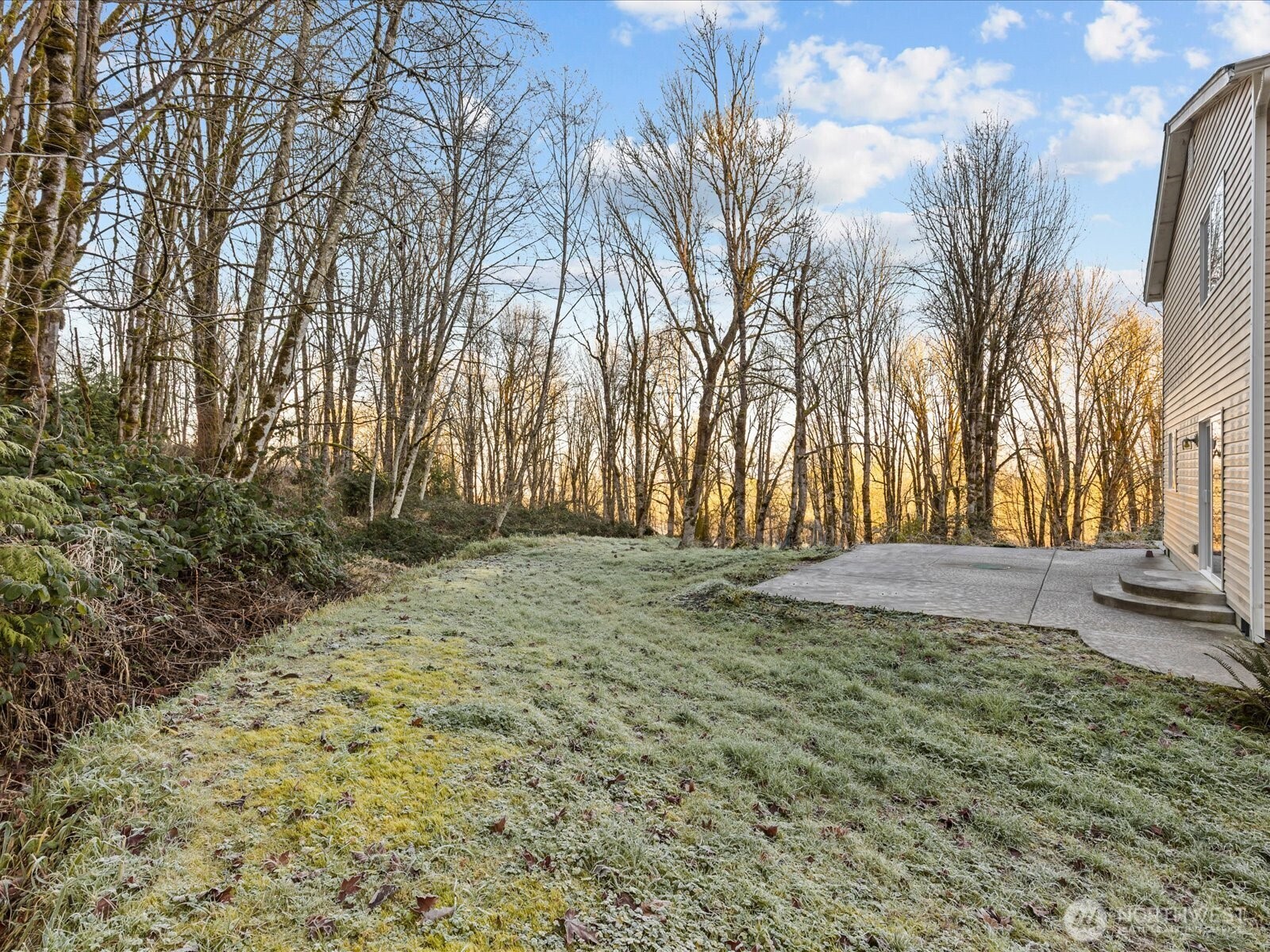 218-38 Bowen Road Mossyrock, WA 98564 - Photo 27 of 40 a view of backyard space with trees