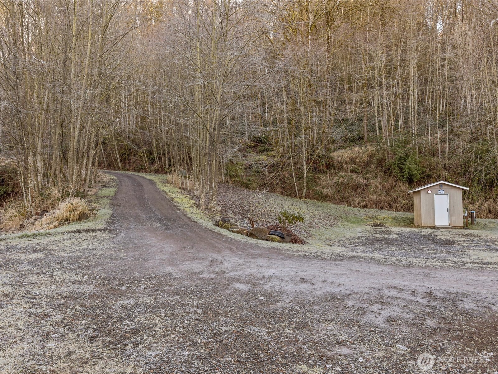 218-38 Bowen Road Mossyrock, WA 98564 - Photo 29 of 40 a view of a dry yard with trees