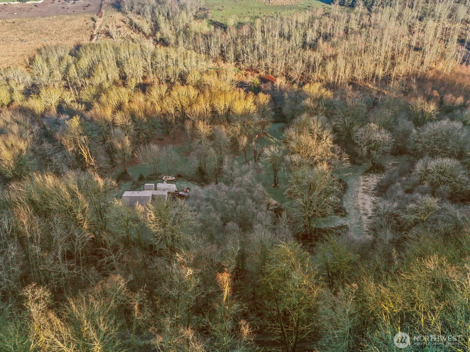 218-38 Bowen Road Mossyrock, WA 98564 - Photo 36 of 40 a view of a covered with large trees