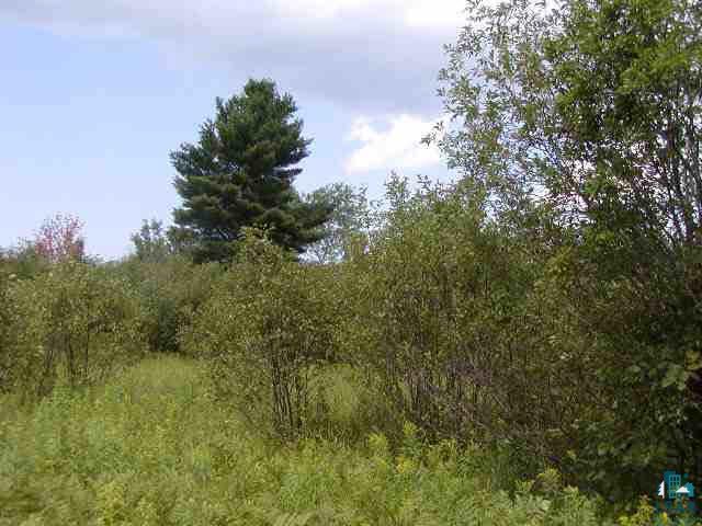 Lot 2 Mattson Road Washburn, WI 54891 - Photo 1 of 8 Gallery Image 1