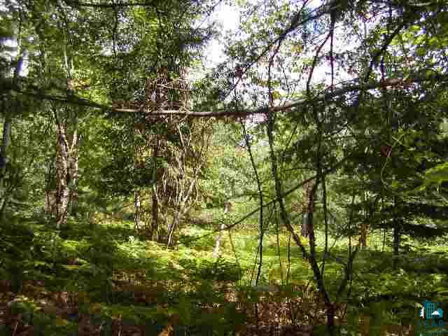 Lot 2 Mattson Road Washburn, WI 54891 - Photo 4 of 8 Gallery Image 4