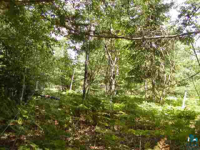 Lot 2 Mattson Road Washburn, WI 54891 - Photo 5 of 8 Gallery Image 5