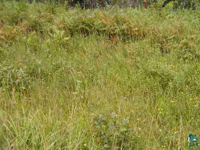 Lot 2 Mattson Road Washburn, WI 54891 - Photo 6 of 8 Gallery Image 6