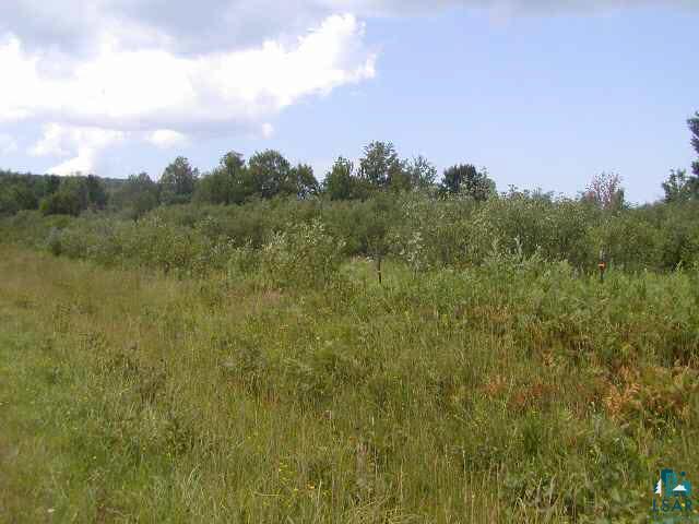 Lot 2 Mattson Road Washburn, WI 54891 - Photo 8 of 8 Gallery Image 8