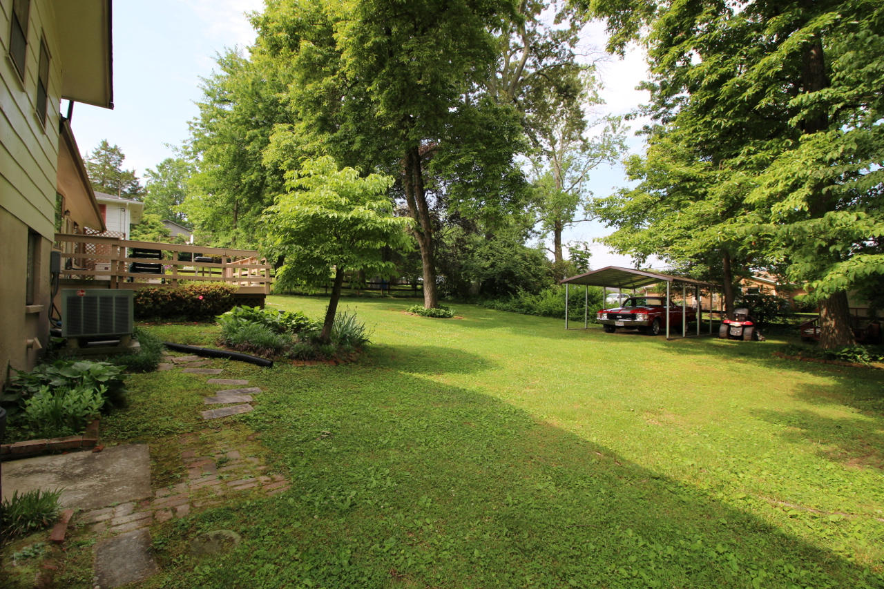 3721 Cherrylog Road Knoxville, TN 37921 - Photo 29 of 35 Flat Backyard
