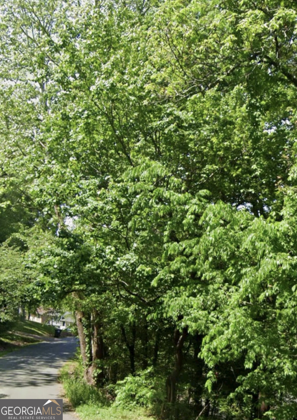 0 Tinker Bell Circle, Unit LOT 27 Flintstone, GA 30725 - Photo 2 of 3