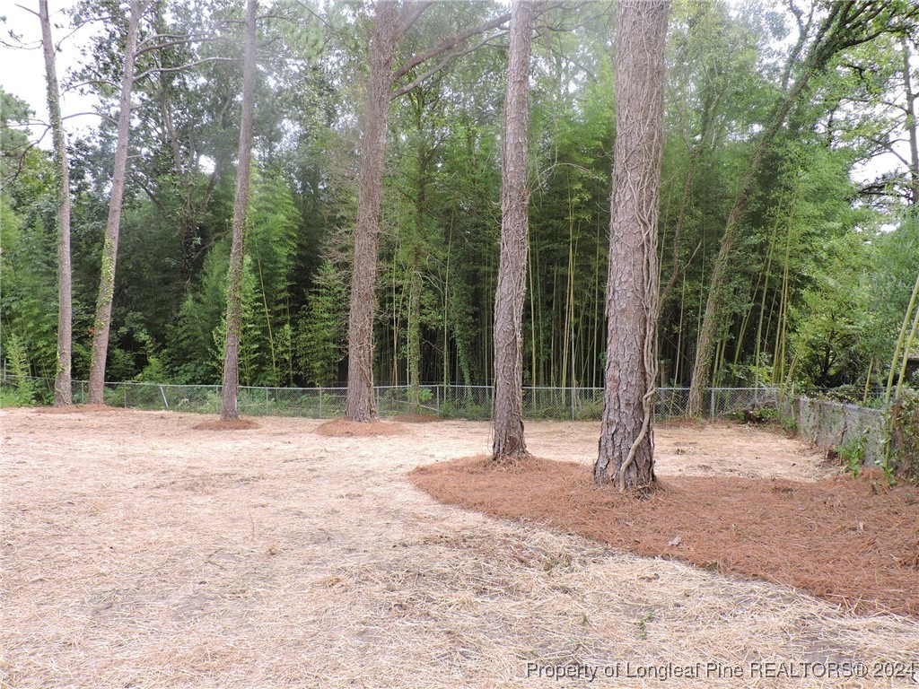 360 Summerhill Road Fayetteville, NC 28303 - Photo 7 of 9 a view of a field with trees in the background
