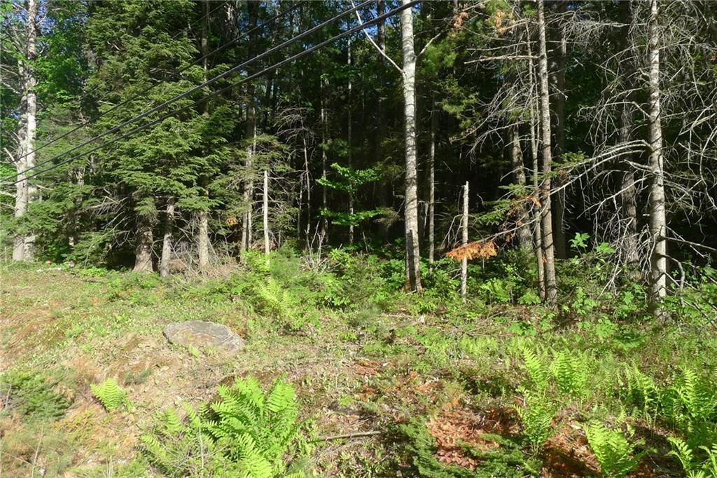 0 Camden Road Hope, ME 04847 - Photo 6 of 6 Photo
