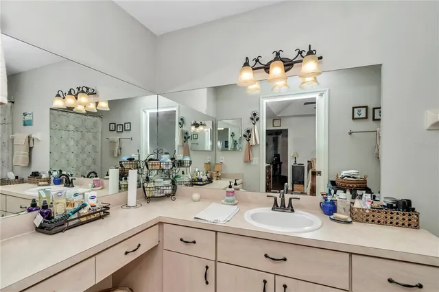 a bathroom with a sink mirror and vanity