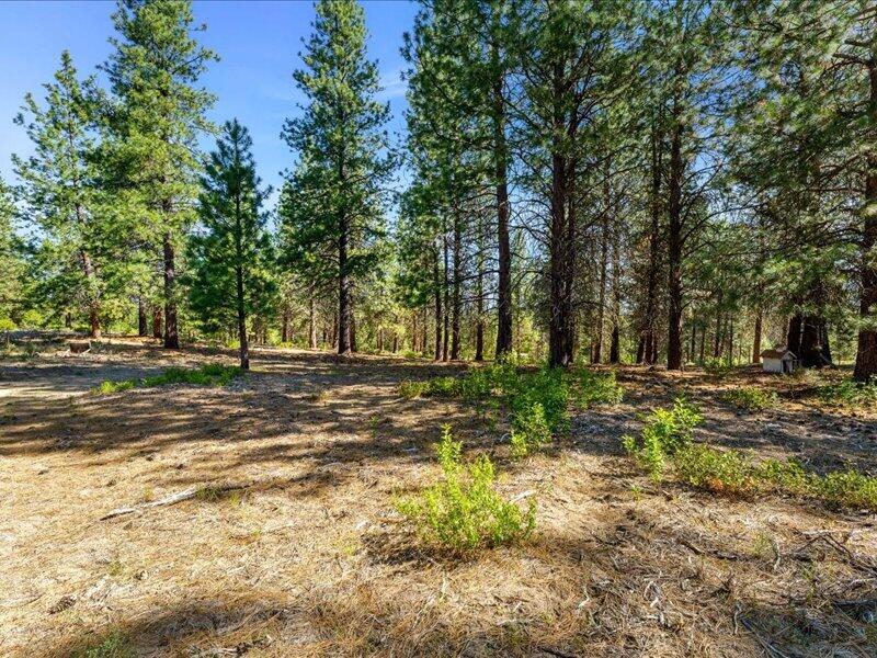 40060 Incline Drive Chiloquin, OR 97624 - Photo 19 of 26 a view of park