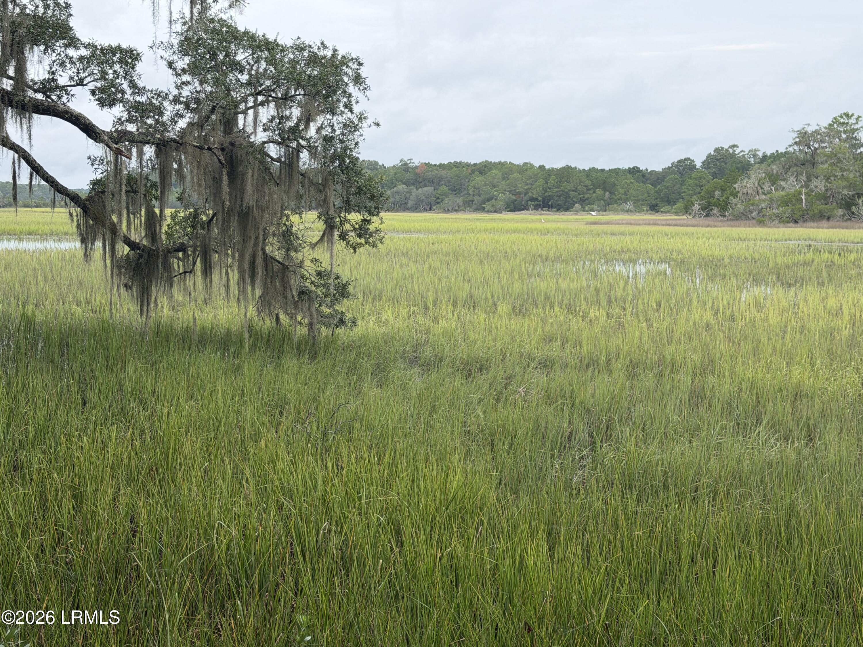 501 Paige Point Road Seabrook, SC 29940 - Photo 8 of 29 IMG_0492