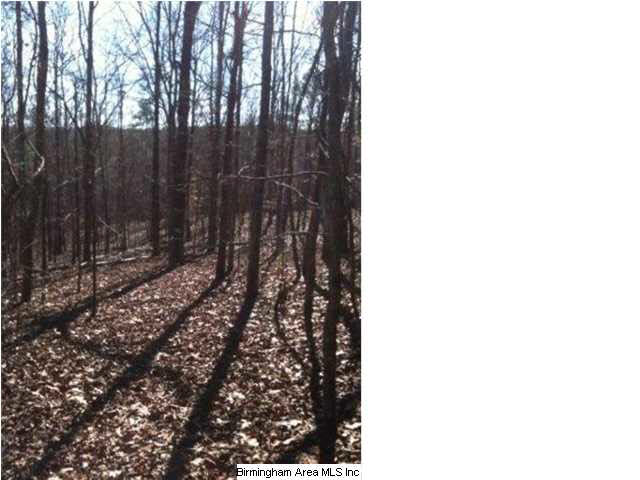 35 County Road, Unit 8 8 Ashland, AL 36251 - Photo 3 of 6