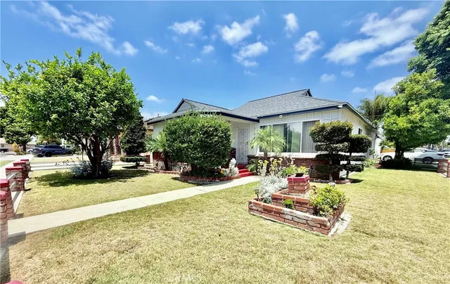 a view of a backyard