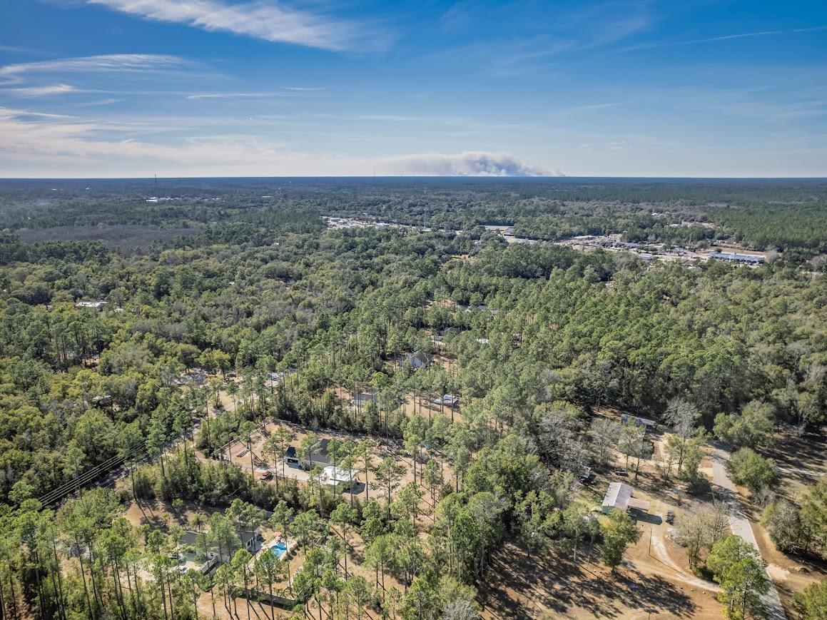 162 Aaron Strickland Road Crawfordville, FL 32327 - Photo 27 of 44