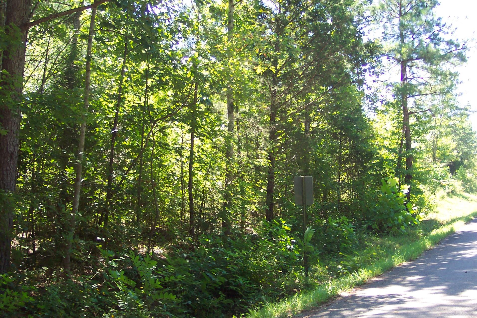 118 County Road 118 Riceville, TN 37370 - Photo 1 of 8 102_3232