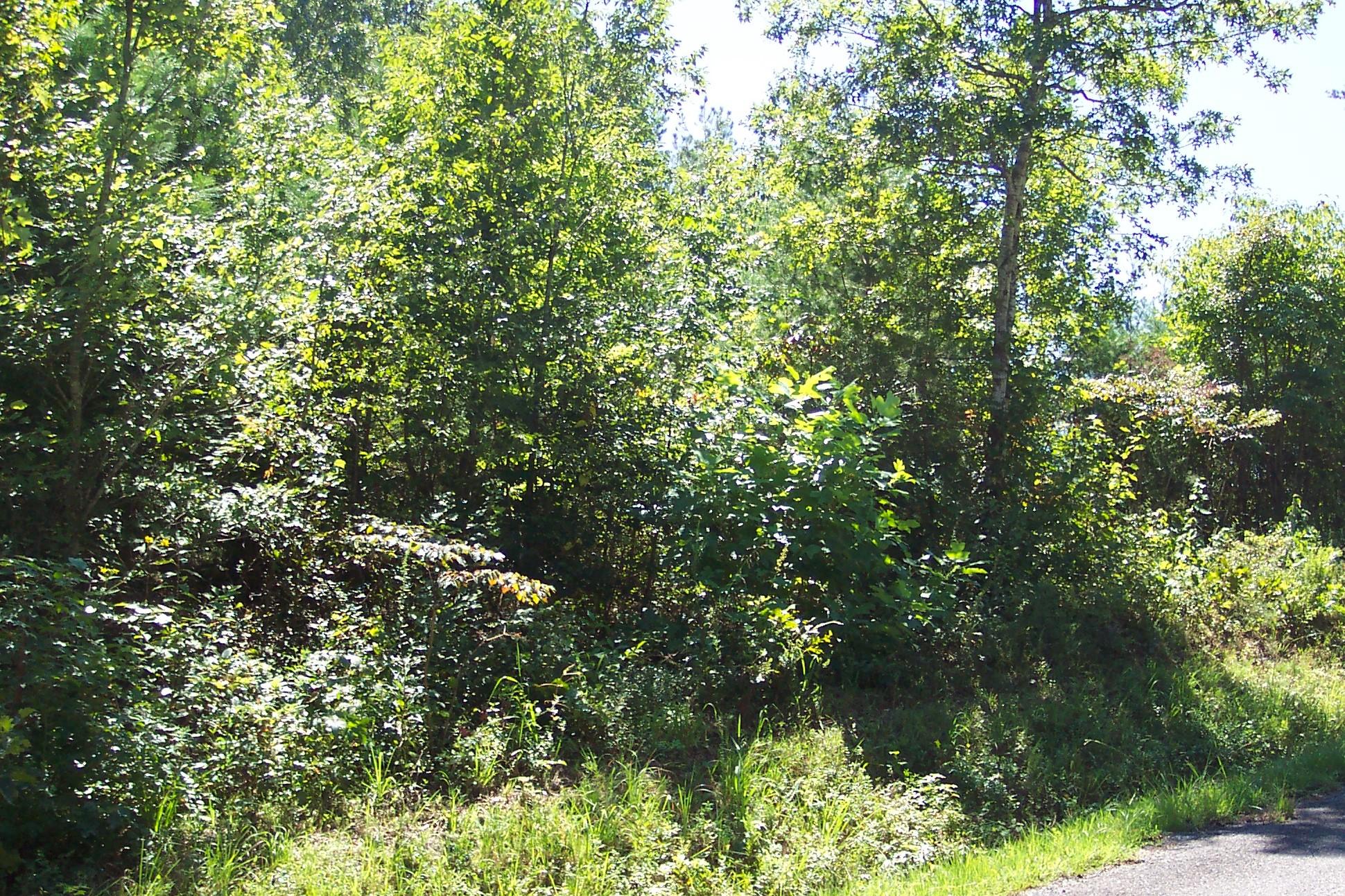 118 County Road 118 Riceville, TN 37370 - Photo 2 of 8 102_3233