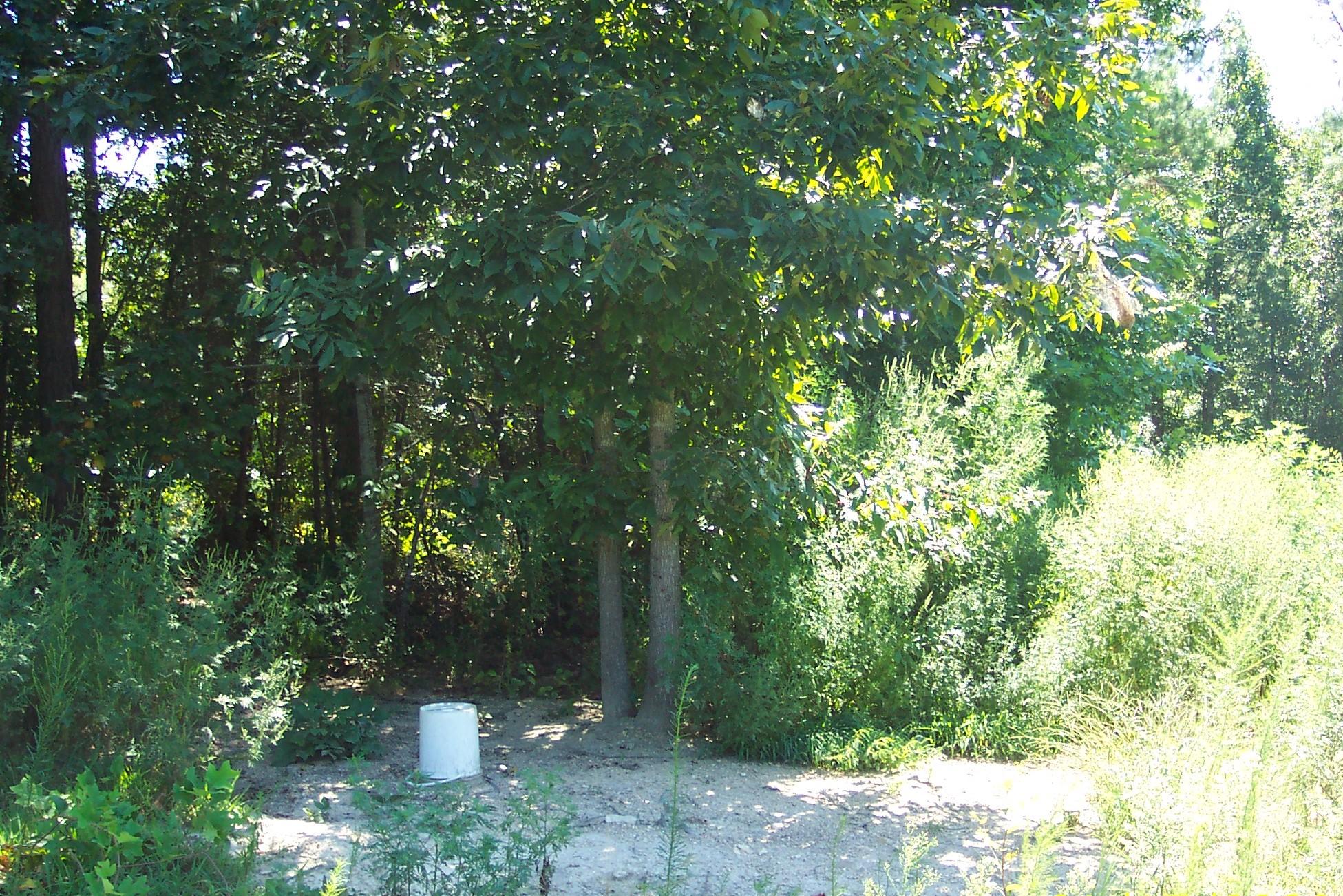 118 County Road 118 Riceville, TN 37370 - Photo 6 of 8 102_3237