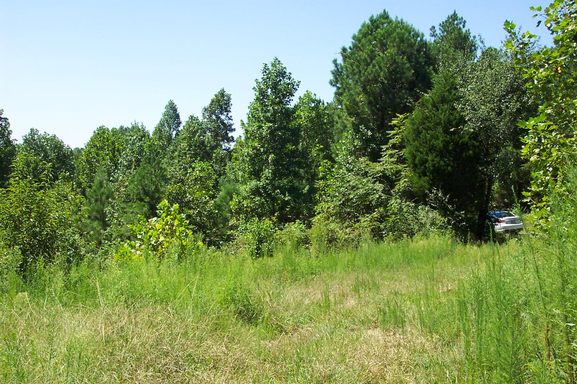 118 County Road 118 Riceville, TN 37370 - Photo 8 of 8 102_3239