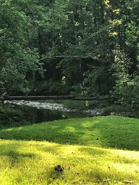 681 Walnut Lick Road Verona, KY 41092 - Photo 9 of 28 Gallery Image 9