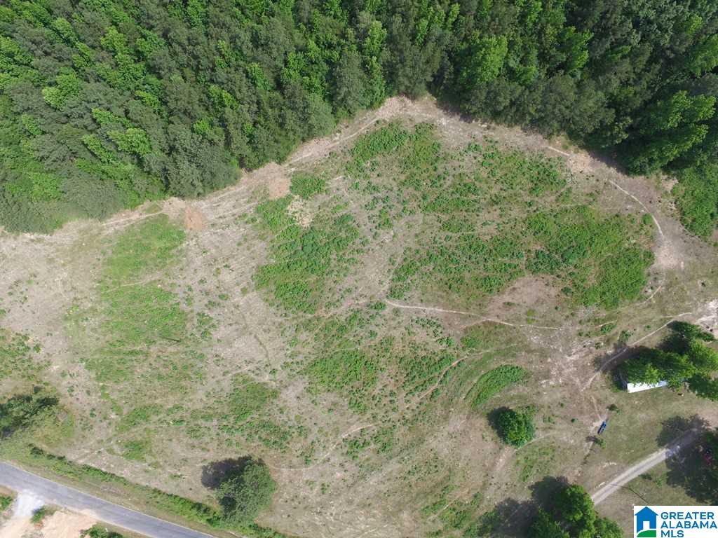 Horton Mill Road, Unit 118 Oneonta, AL 35121 - Photo 2 of 15