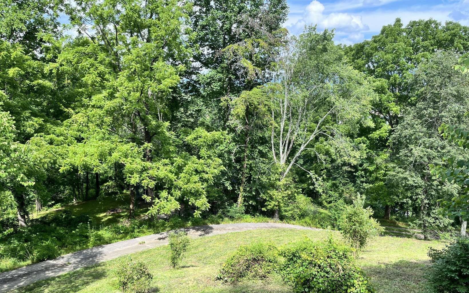 505 Hyatt Creek Road Marble, NC 28905 - Photo 23 of 24 Additional View