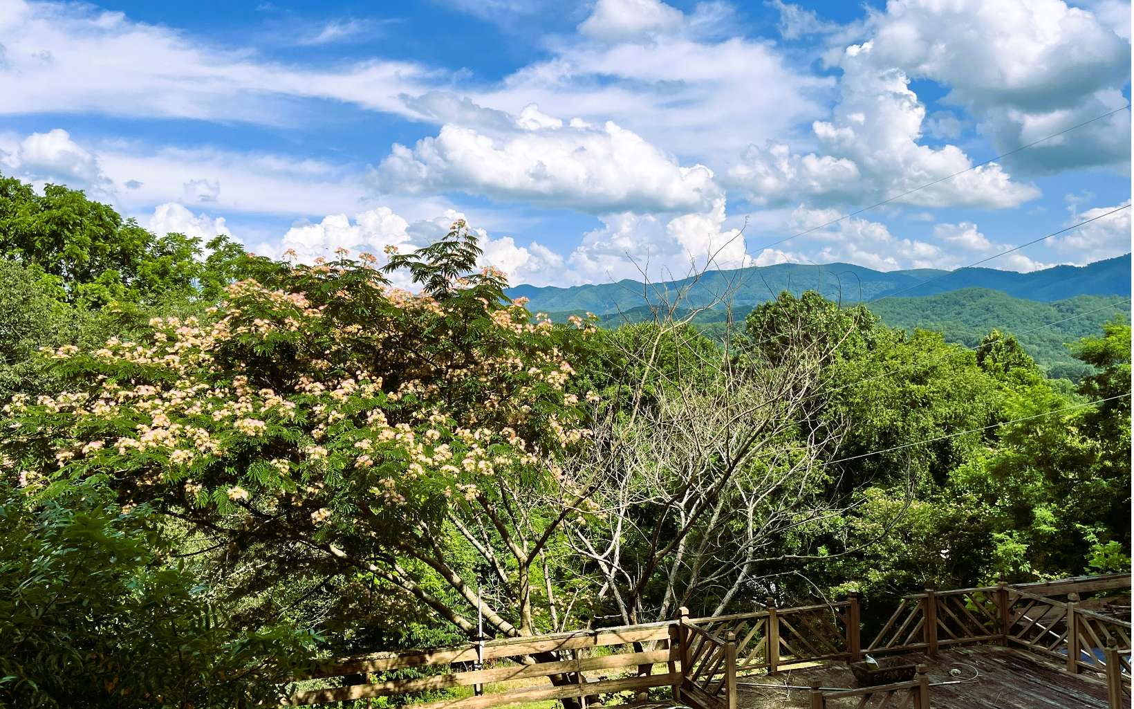 505 Hyatt Creek Road Marble, NC 28905 - Photo 5 of 24 Additional View