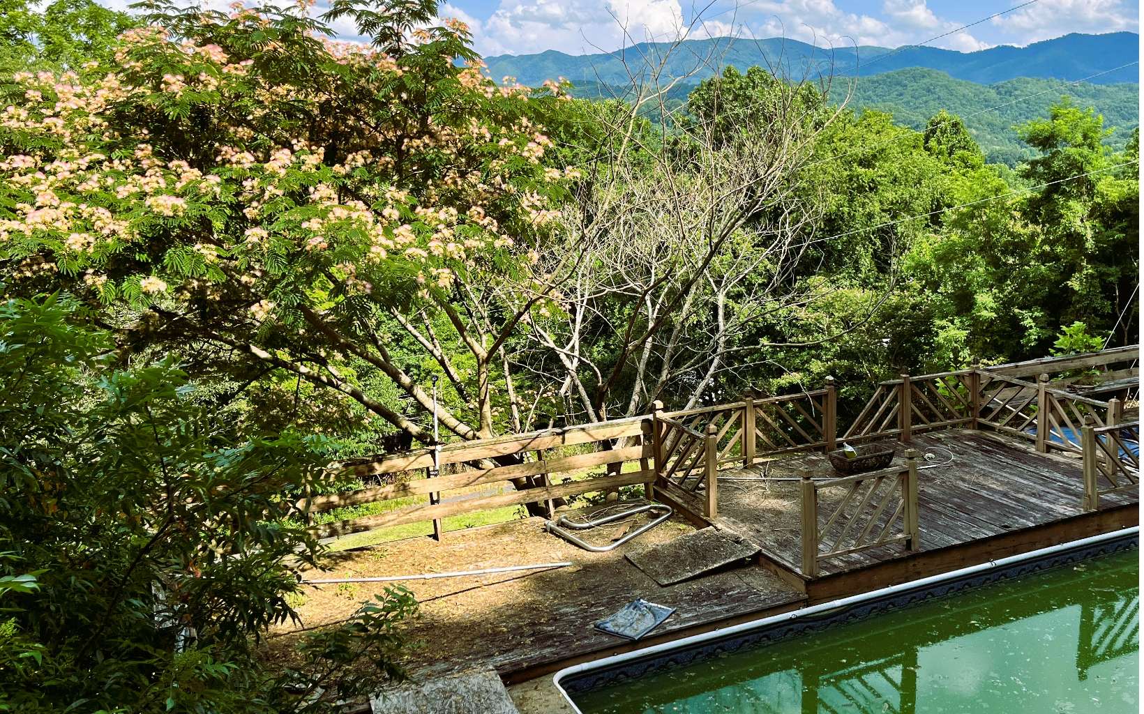 505 Hyatt Creek Road Marble, NC 28905 - Photo 6 of 24 Additional View