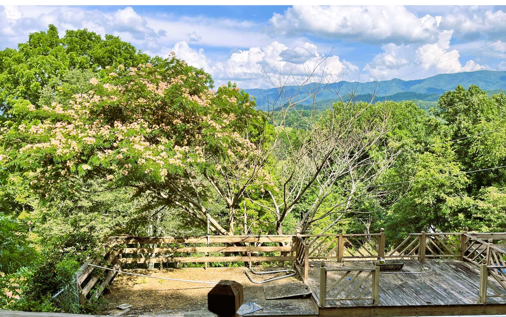 505 Hyatt Creek Road Marble, NC 28905 - Photo 8 of 24 Additional View