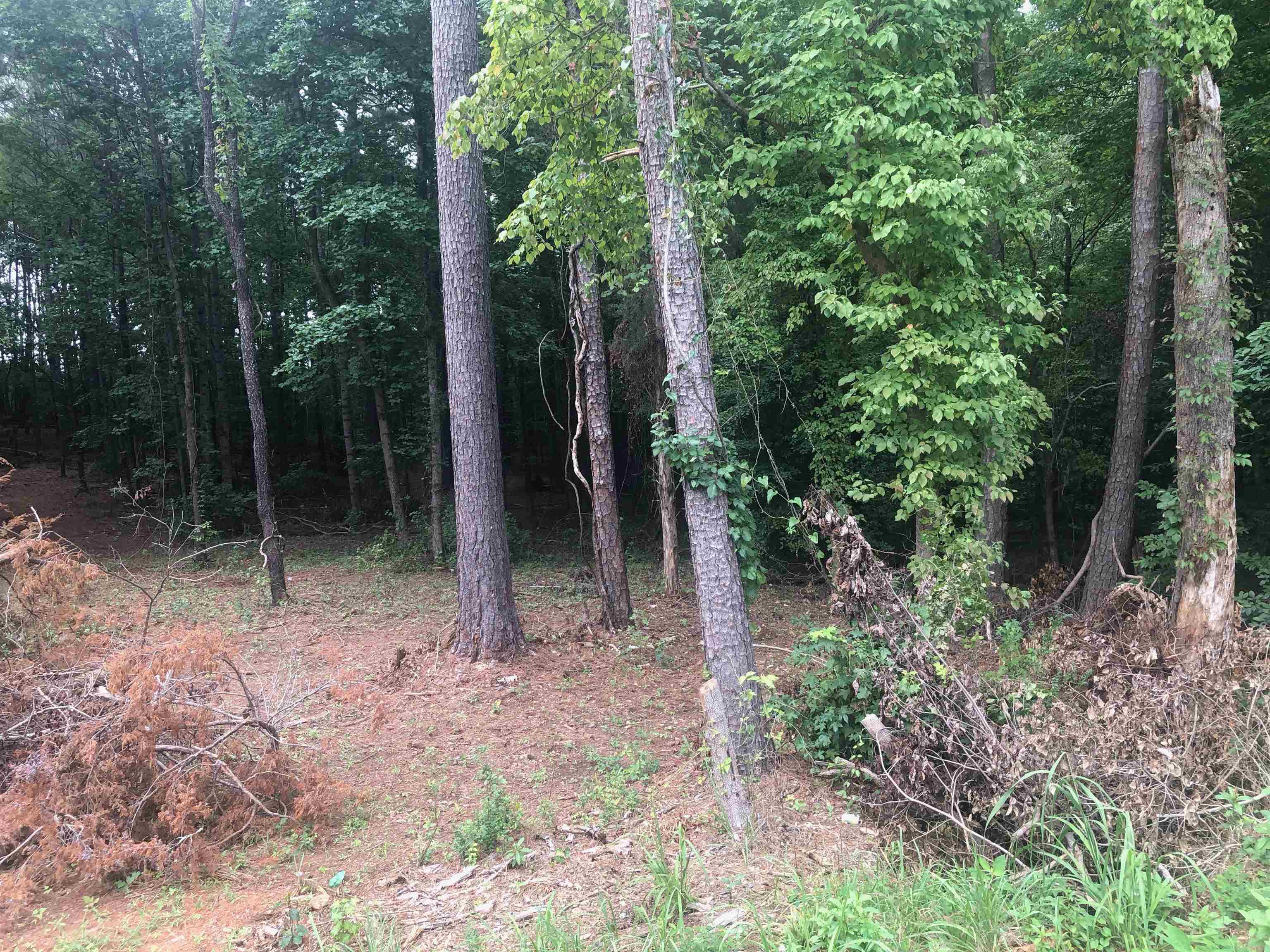 440 South Green River Road Gaffney, SC 29341 - Photo 2 of 5
