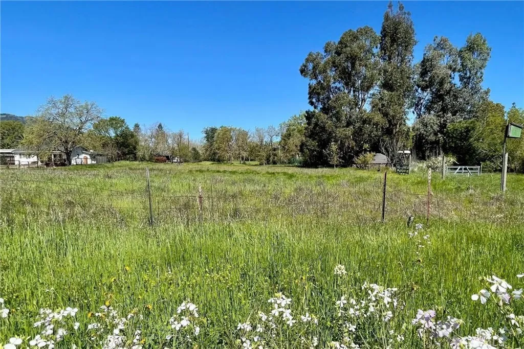 1025 Laurel Court Sebastopol, CA 95472 - Photo 5 of 6 a view of a lush green space