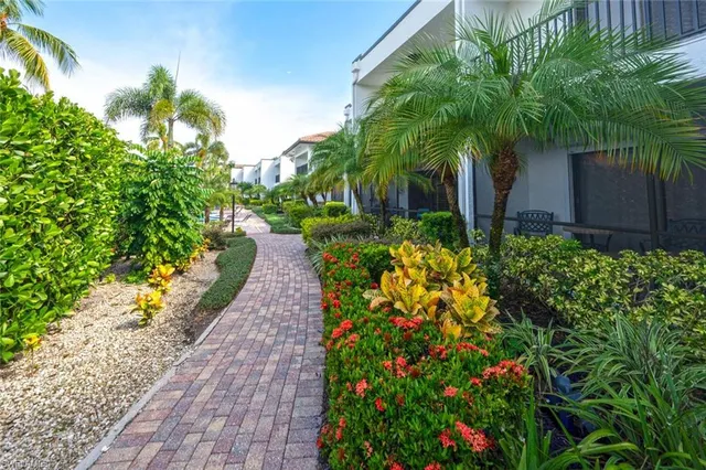 a backyard of a house with a garden and plants