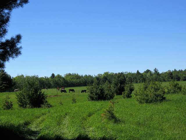 On Pine Shadow Lane, Unit LOT 13 Rhinelander, WI 54501 - Photo 1 of 9 Gallery Image 1