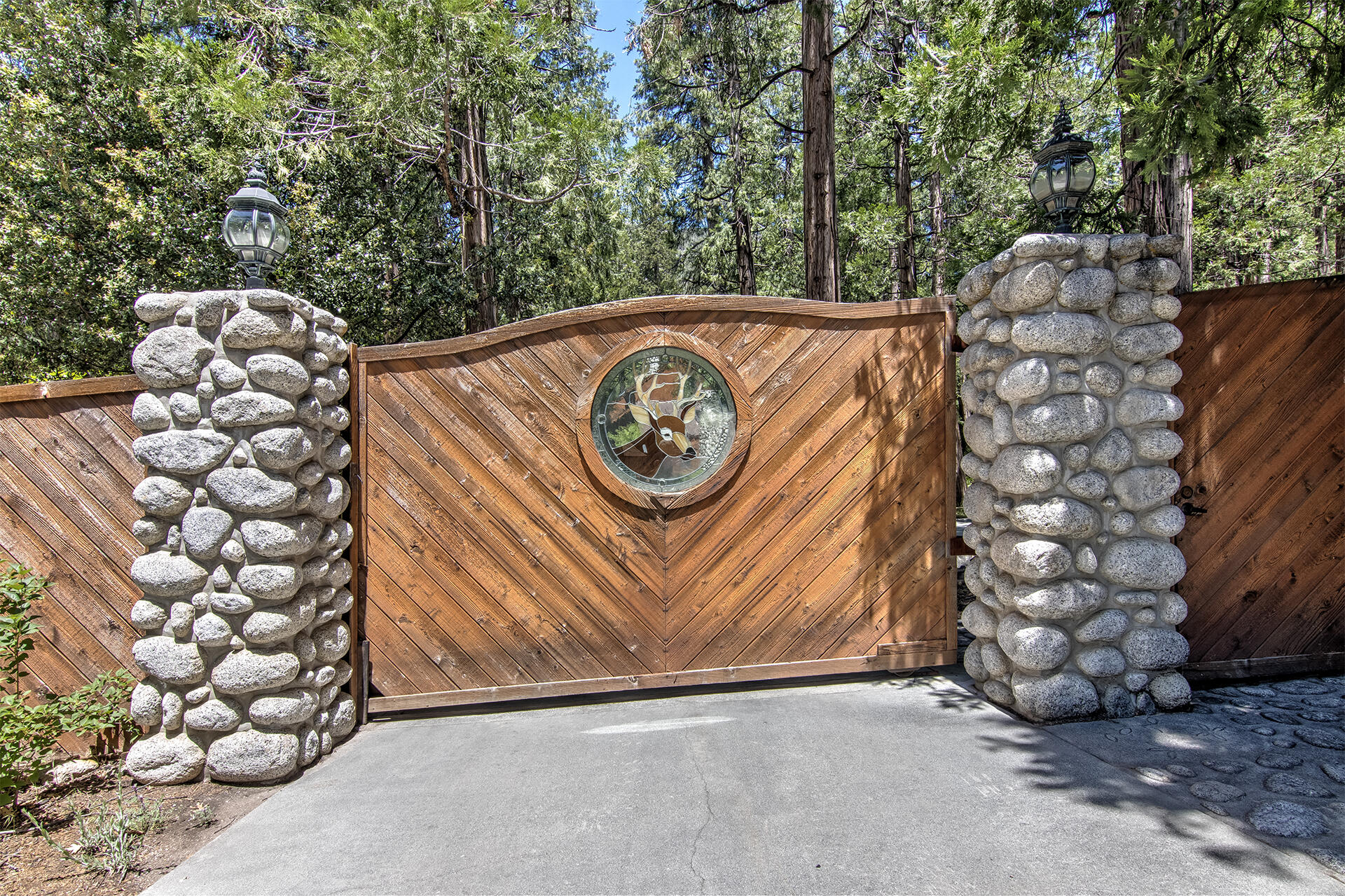 25319 Fern Valley Road Idyllwild, CA 92549 - Photo 5 of 77 _MG_3730