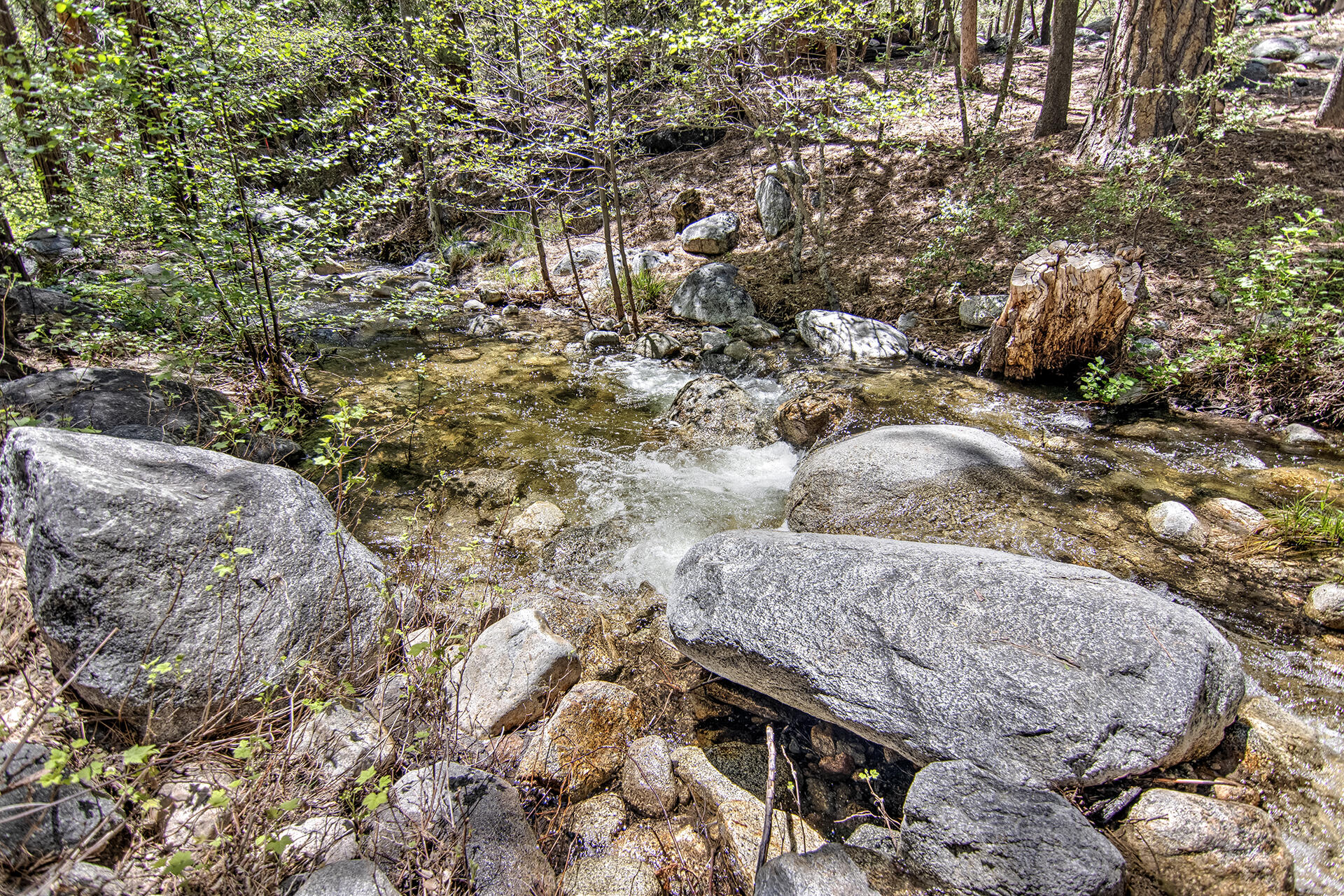 25319 Fern Valley Road Idyllwild, CA 92549 - Photo 56 of 77 _MG_4150