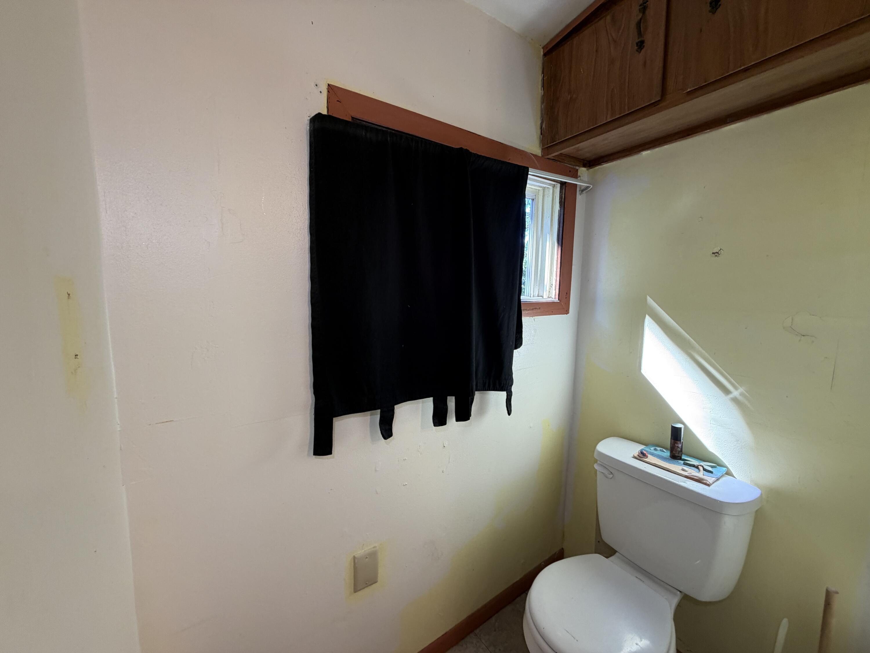 654 Phoenix Street Delavan, WI 53115 - Photo 73 of 159 IMG_0990