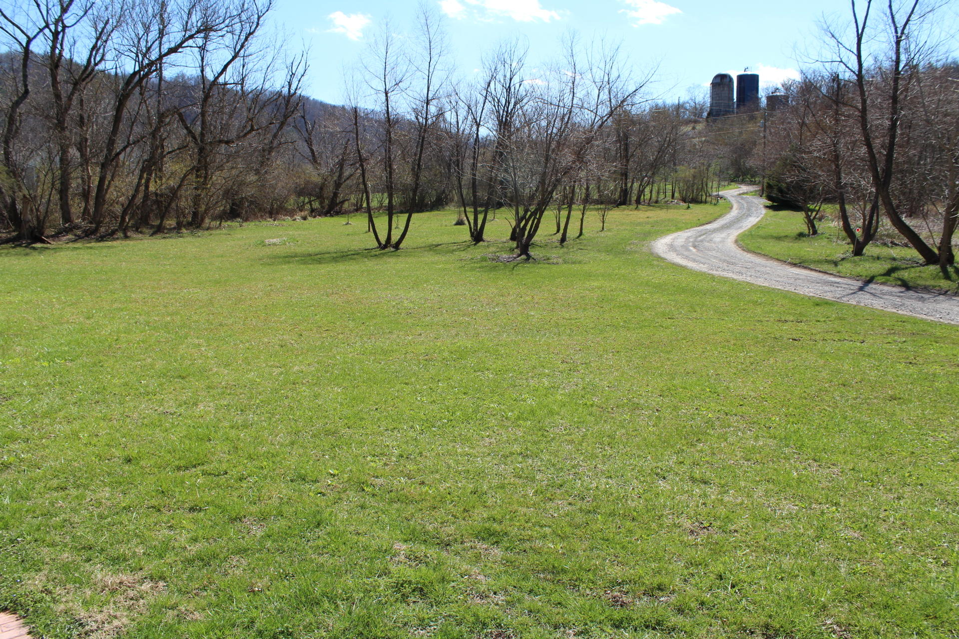 1740 Dewbar Road Elliston, VA 24087 - Photo 3 of 28 a view of a park with large trees