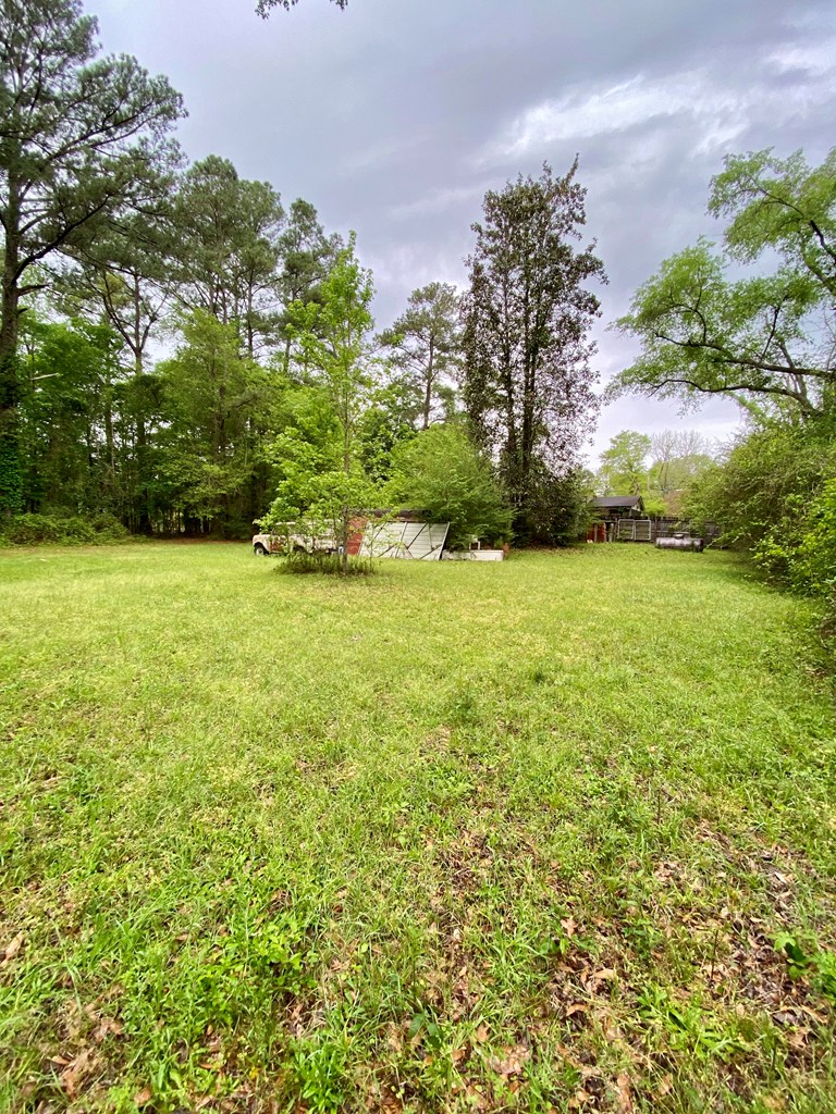 1336 Skipperville Road Ozark, AL 36360 - Photo 6 of 11