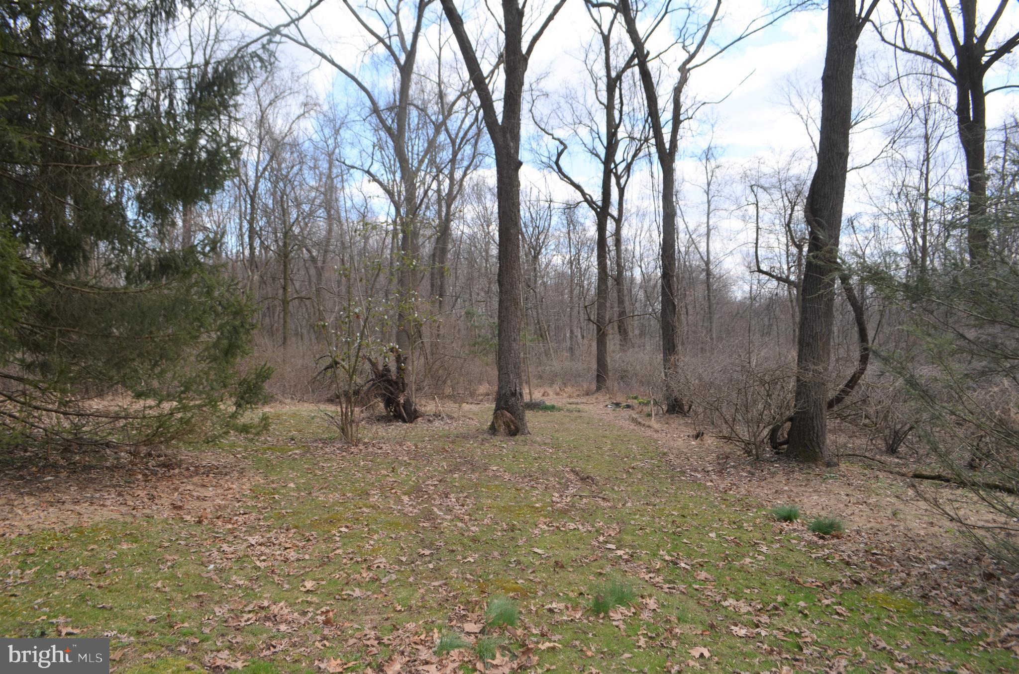 228 Lawn Road Palmyra, PA 17078 - Photo 19 of 23 Gallery Image 19