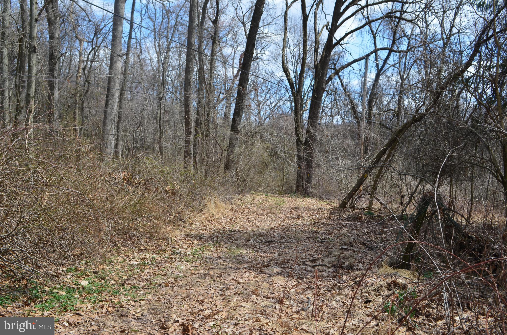 228 Lawn Road Palmyra, PA 17078 - Photo 20 of 23 Gallery Image 20