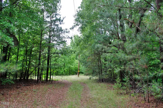 a view of a back yard